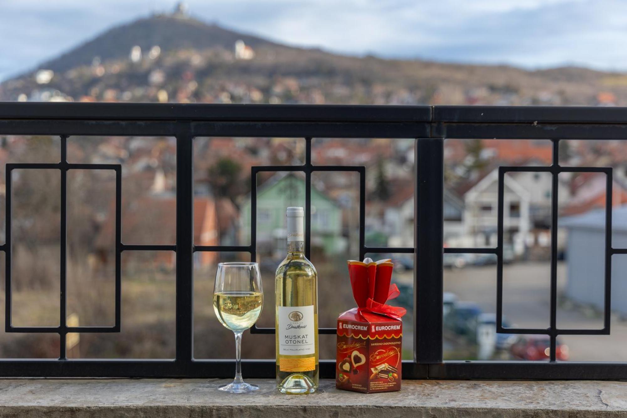 Helvecija 1880 Hotell Vrsac Eksteriør bilde